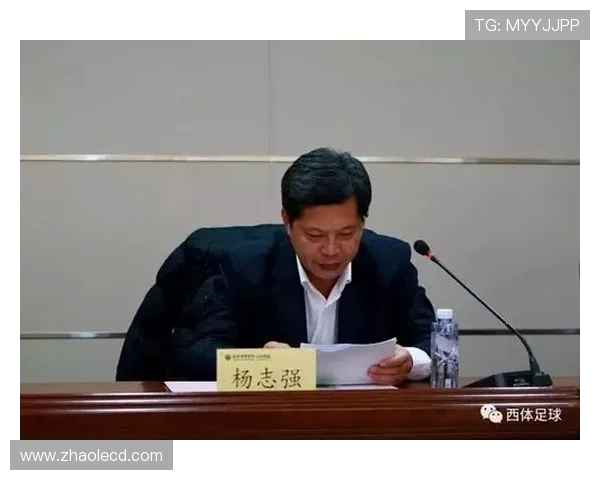 西班牙成立足球裁判员协会 旨在提升裁判执法水平与公正性